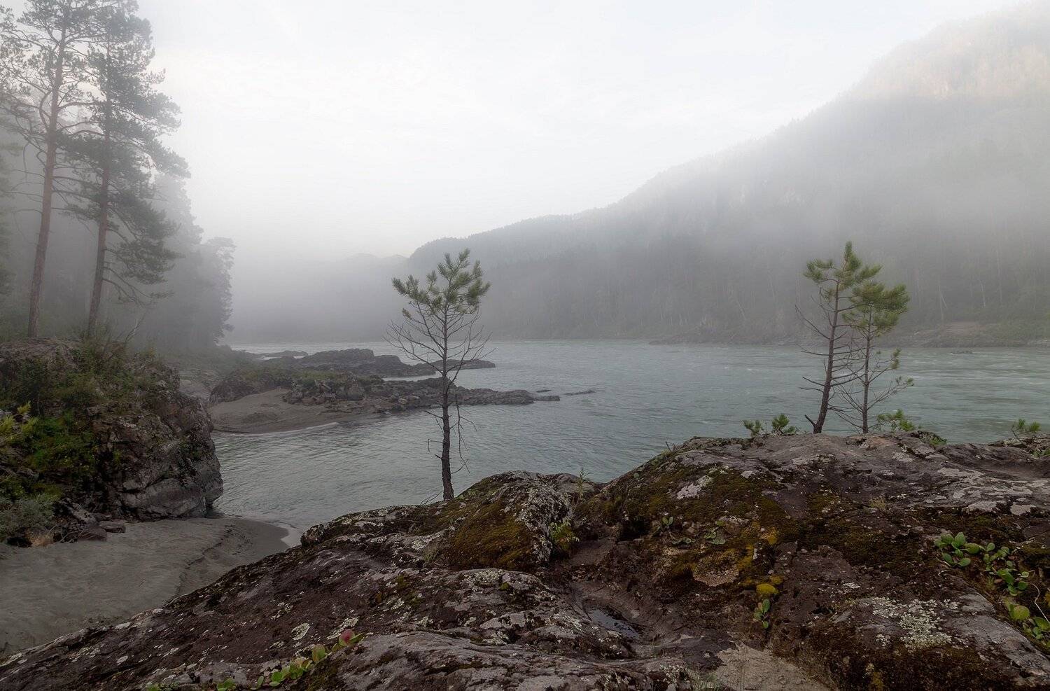 Утро, туман, алтай, река, рассвет, Павел Попов