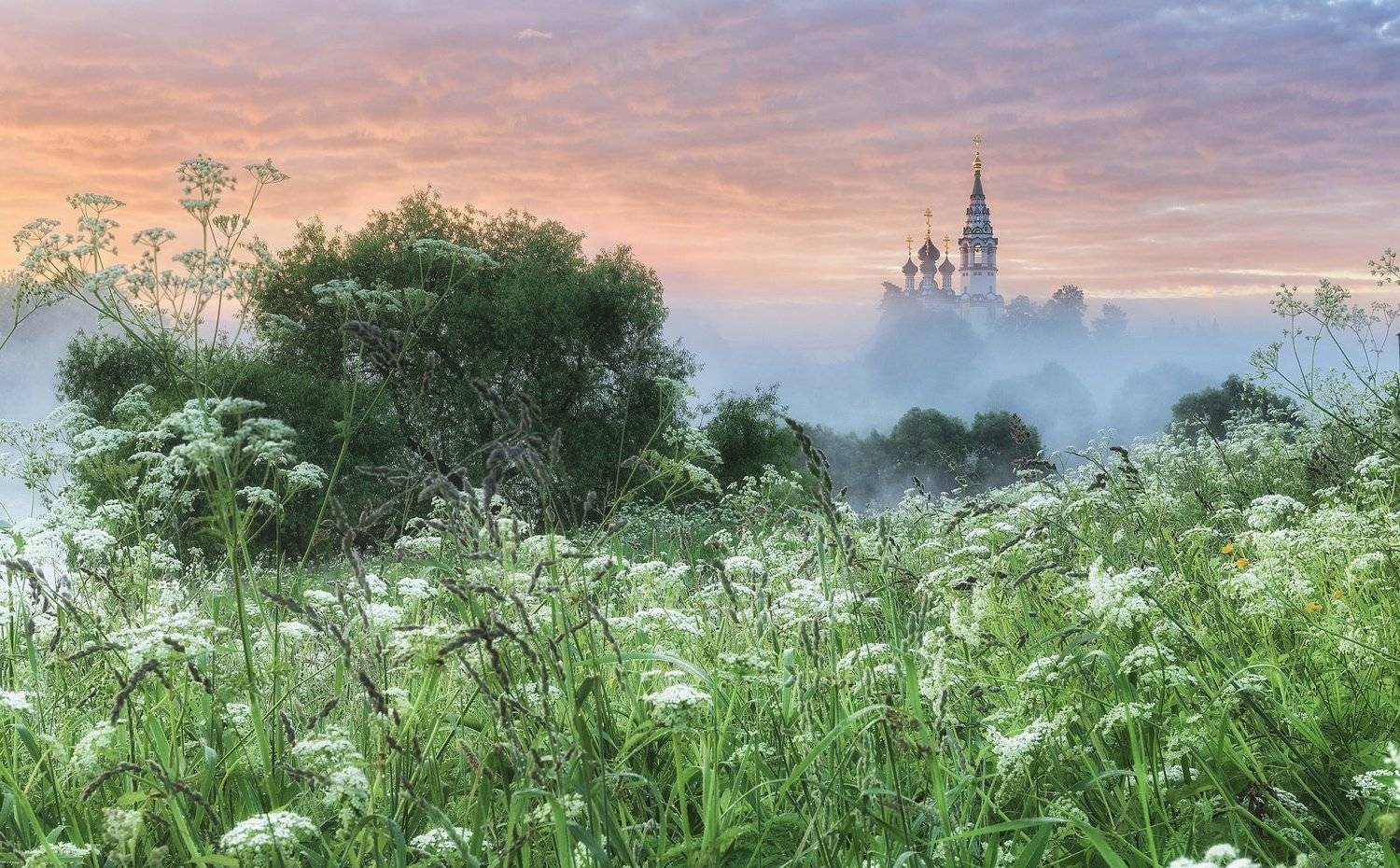 , Сергей Давыдов