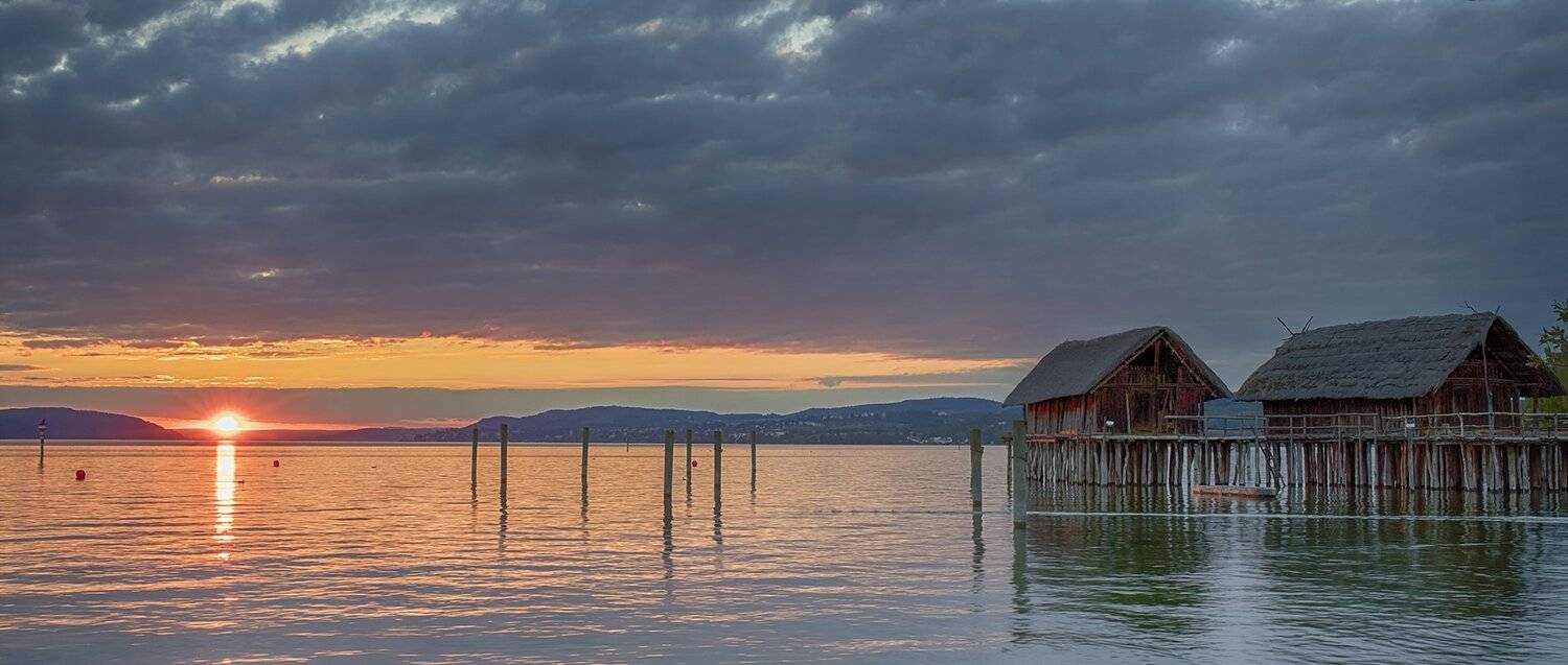 , Игорь Дубровский