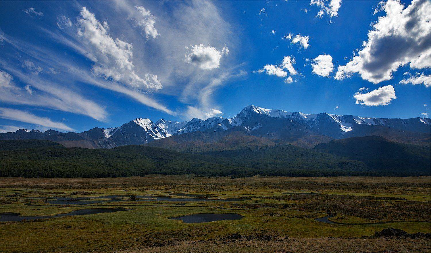 счх ештыкель, Юрий Фролов