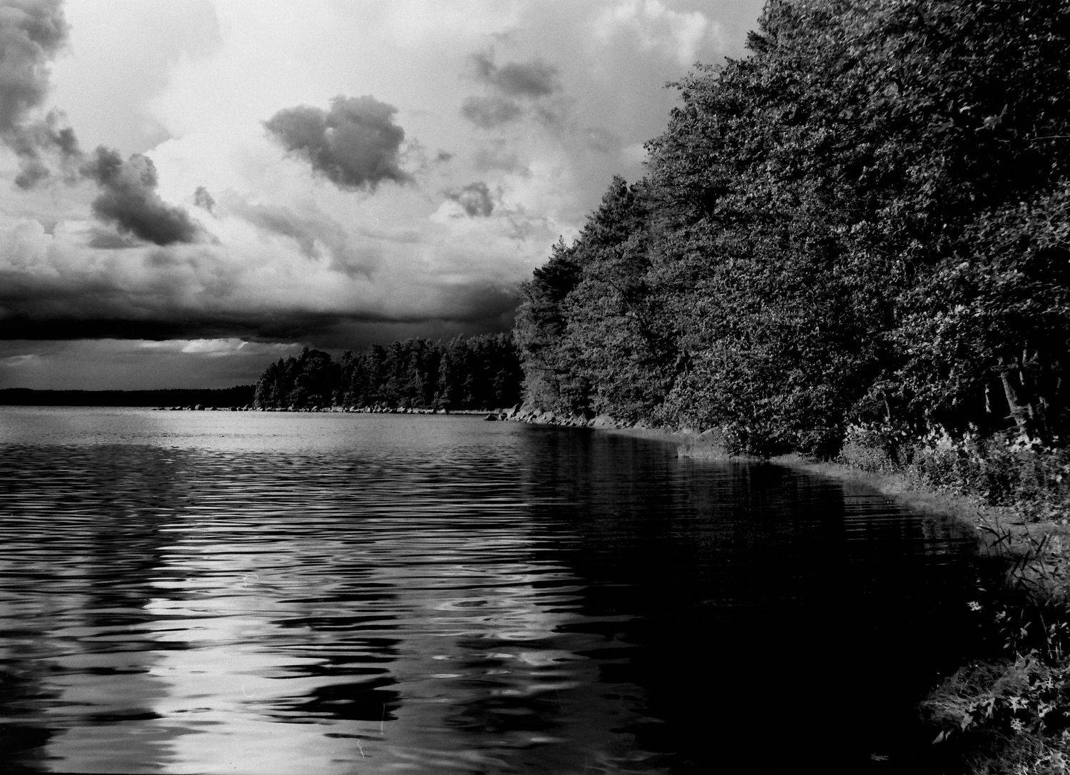 пленка, черно-белая фотография,, Иван Домарацкий