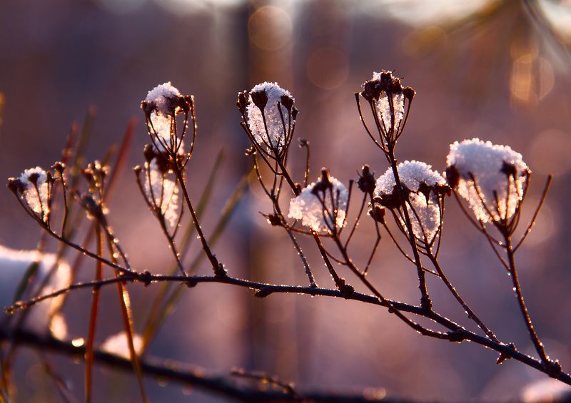 Фонари фото превью