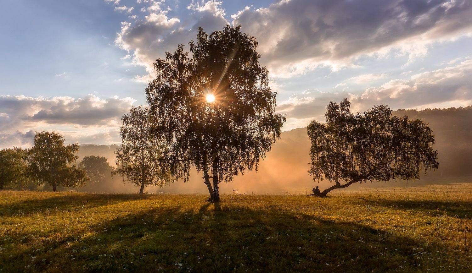 утро, рассвет, восход, туман, лучи, горы, Леонид Максименко