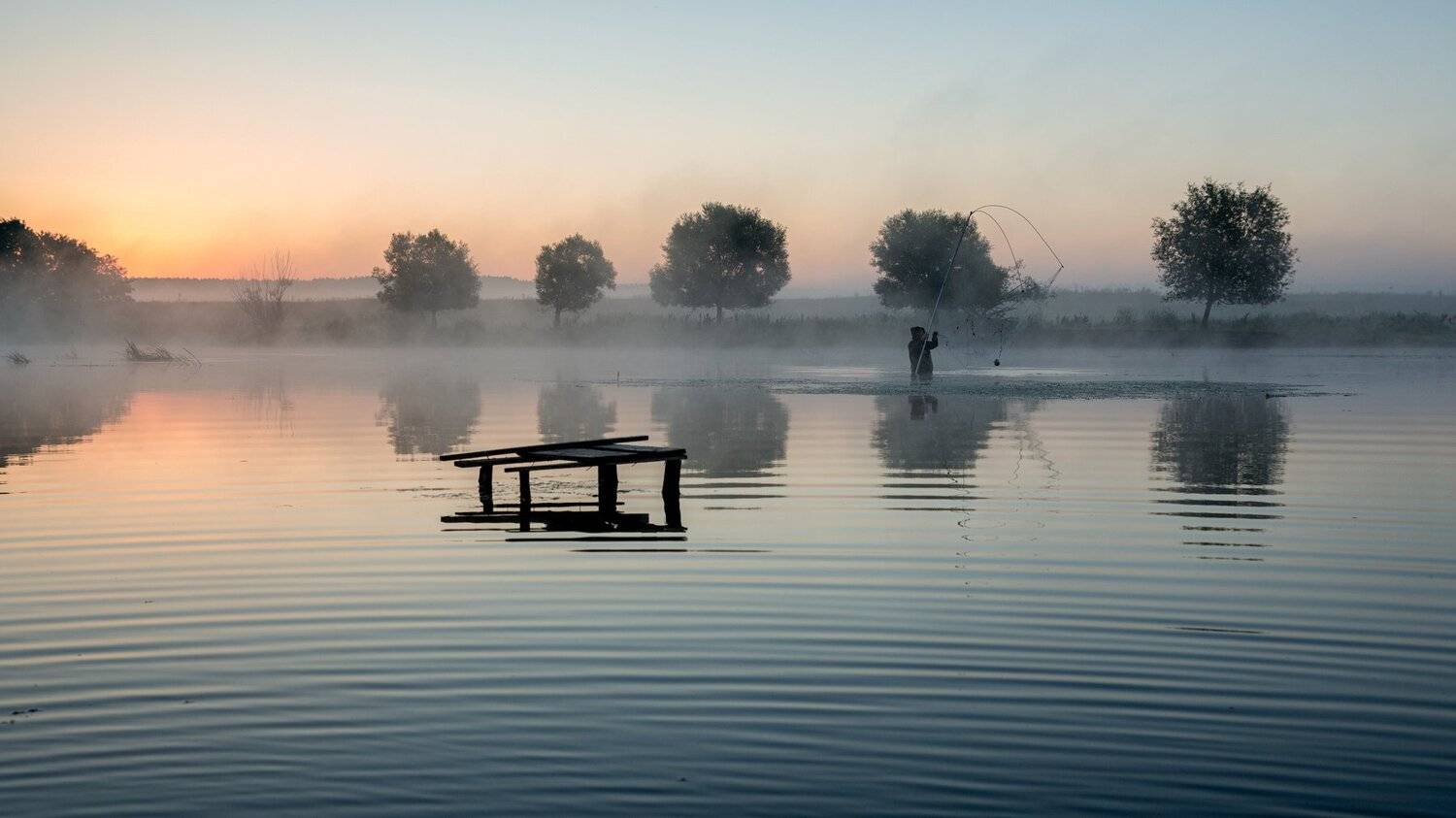 , Александр Бредихин