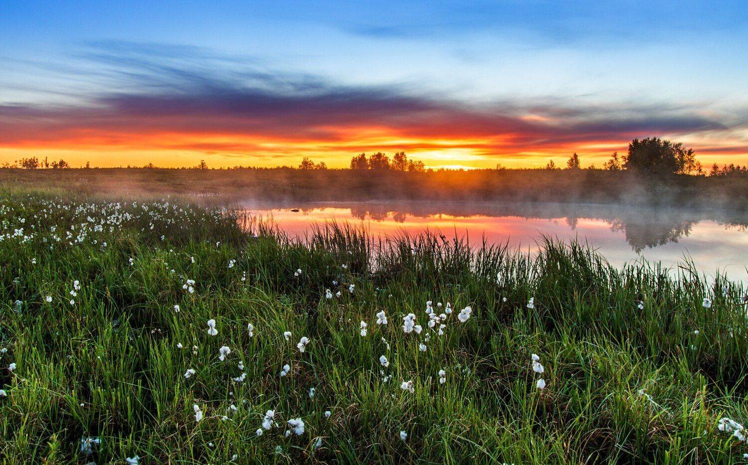 ямал , сибирь, природа, салехард , рассвет, ямал, Настя Братка