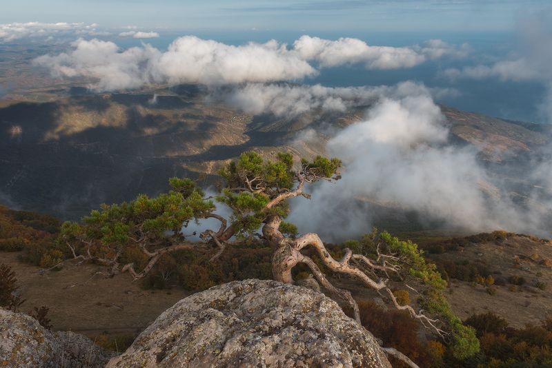 крым, горы, россия, пейзаж, природа, сосна, облака, высота, крымские горы, черное море, скалы, долина привидений, демерджи, туризм, путешествия, осень Невесомость фото превью