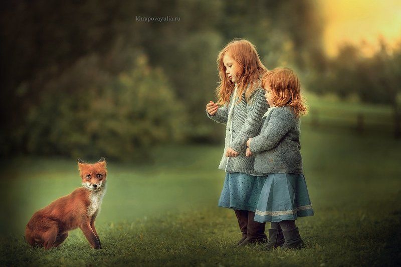 Рыжики фото превью