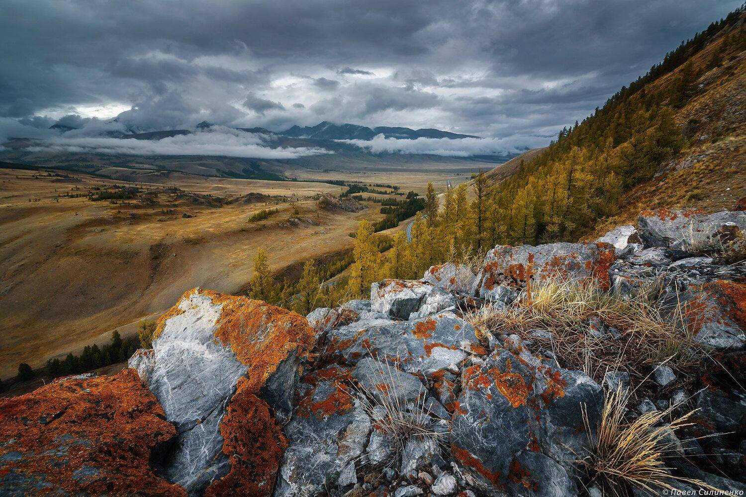 алтай, курай, пейзаж, осень, скалы, горы, вечер, обоака, Павел Силиненко