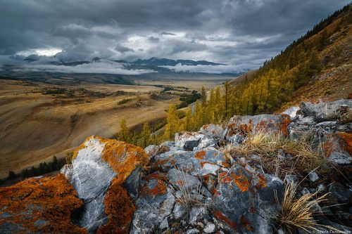 Курайский вечер