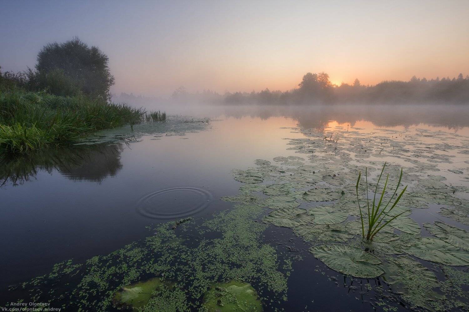 дубна, наукоград, подмосковье, россия, пейзаж, пейзажи, вода, солнце, отражение, рассвет, красота, природа, весна, погода, canon dubna, naukograd, moscow, russia, landscape, water, sun, reflection, dawn, beauty, nature, spring, weather, Андрей Олонцев