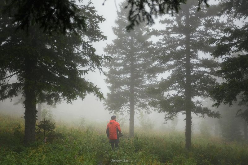 Урал, Южный Урал, Таганай В облачном лесу. фото превью