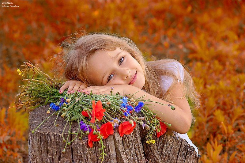 Милая Соня. фото превью