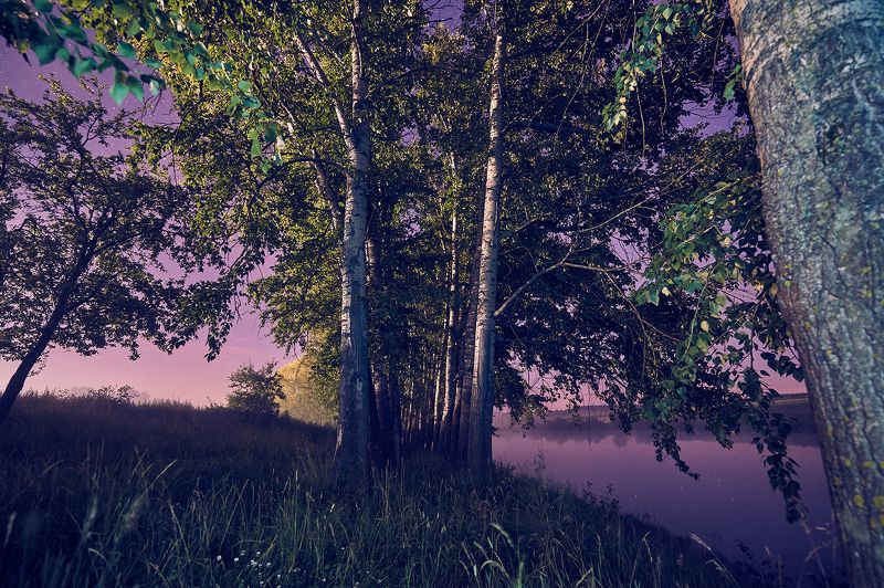 В Объятиях Ночи фото превью