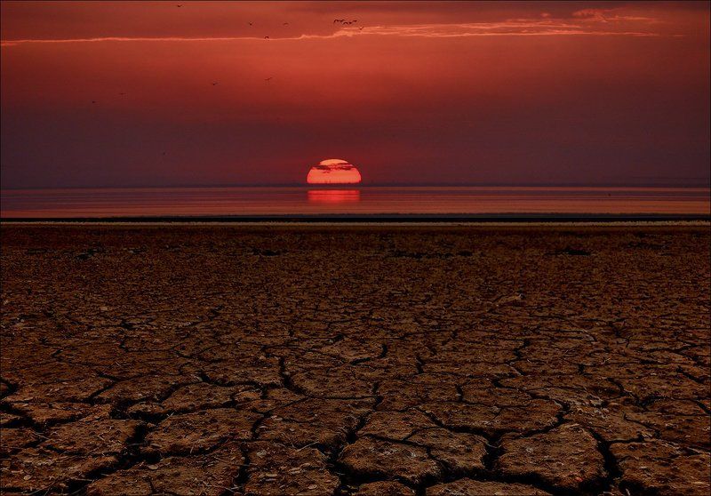 сиваш, закат, солнце, краски, пересохший лиман, трещины, птицы, красное, красота Уснул Сиваш, слабеет солнце фото превью