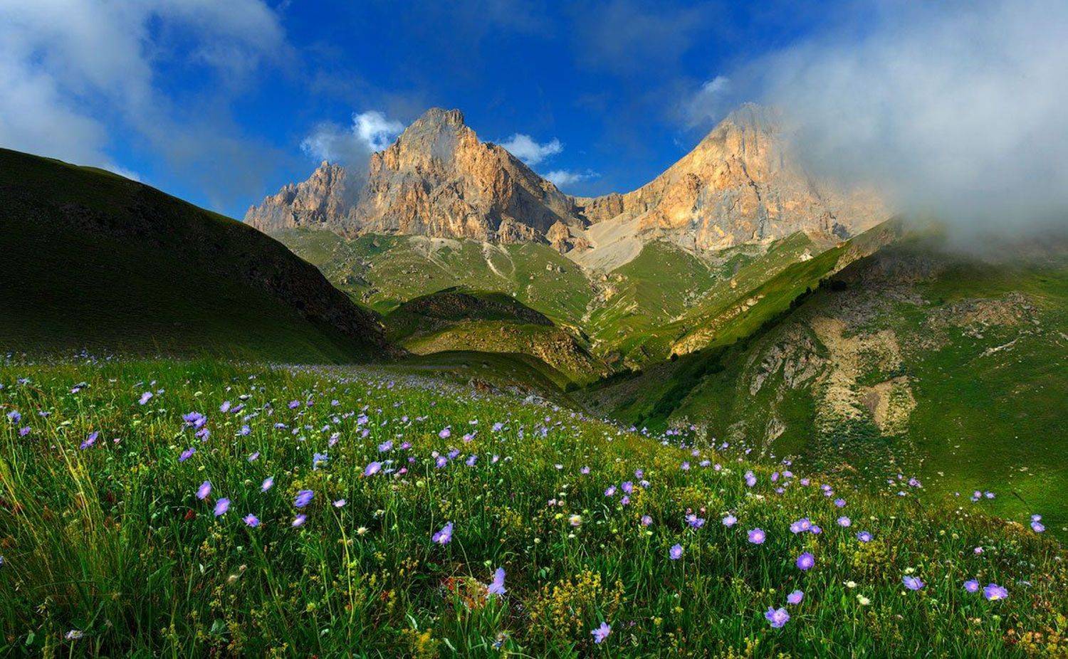 , Владимир Сковородников