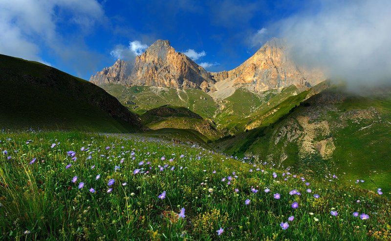 Свежий ветер фото превью