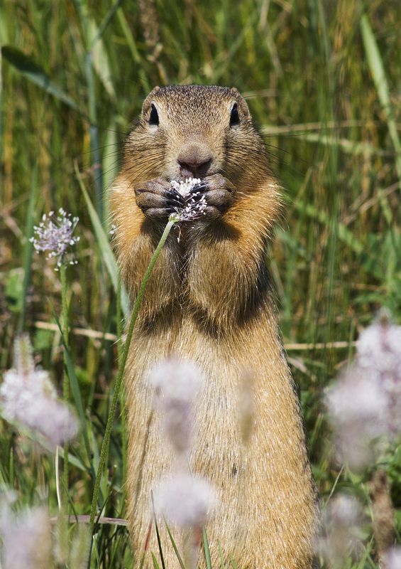 Время обеда фото превью