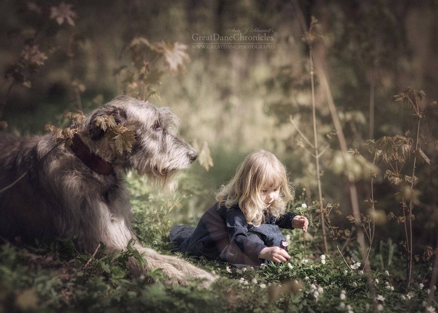 , Андрей Селиверстов