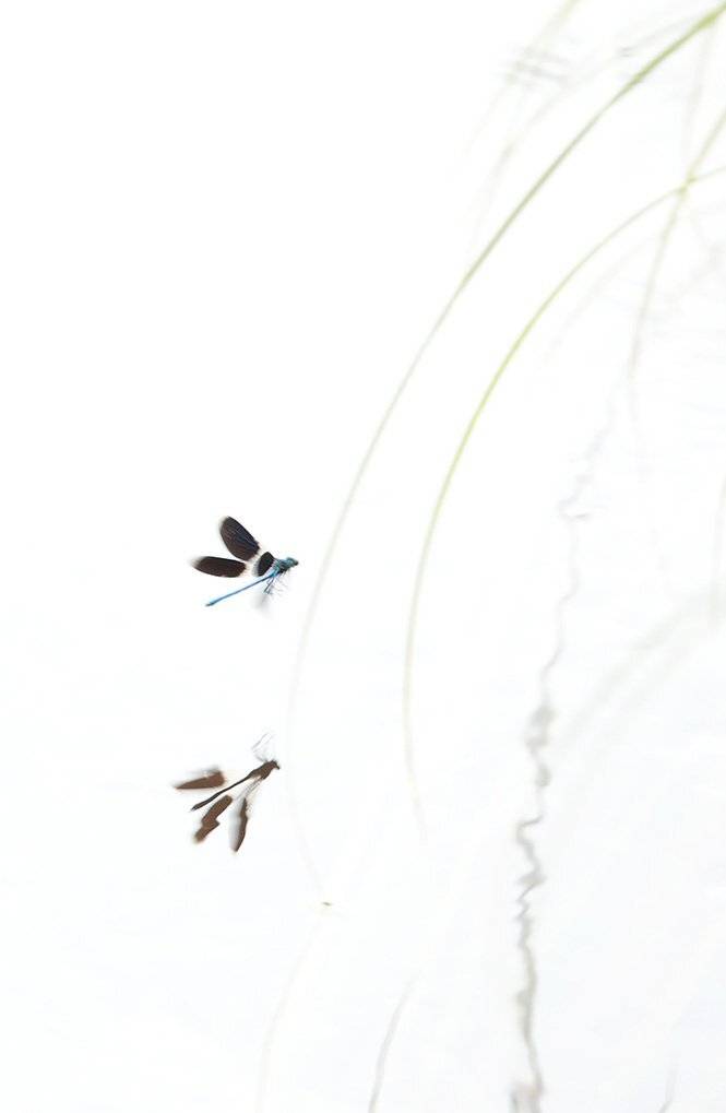 , Иваненко Светлана