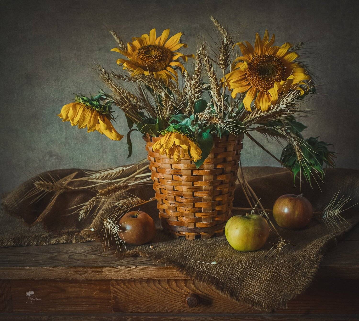 , Инна Сухова