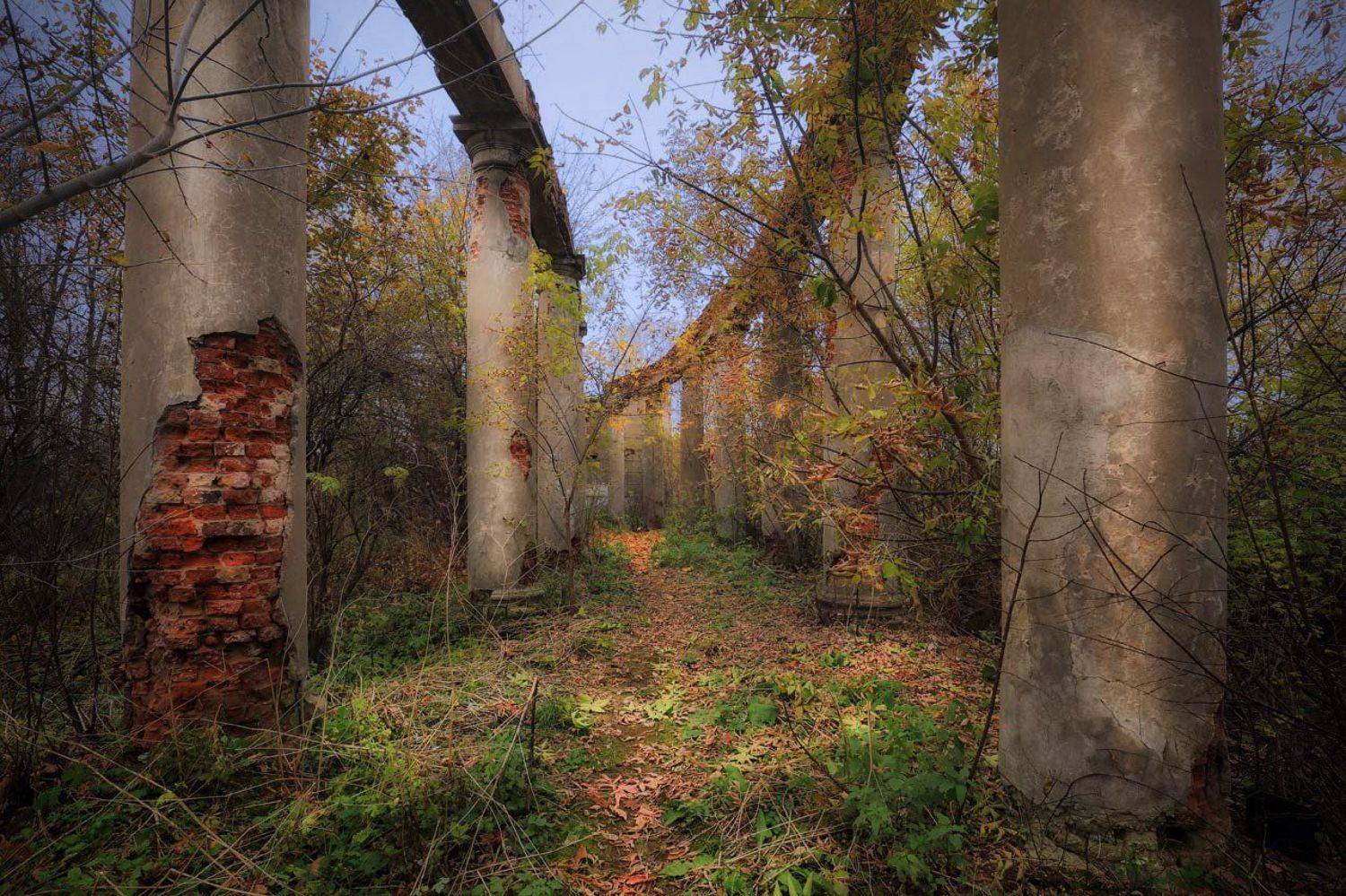 усадьба горенки, осень, Виктор Климкин