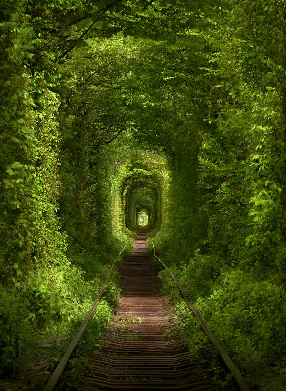 Туннель любви фото превью