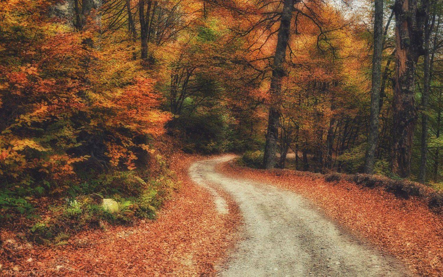 , Александр Круль