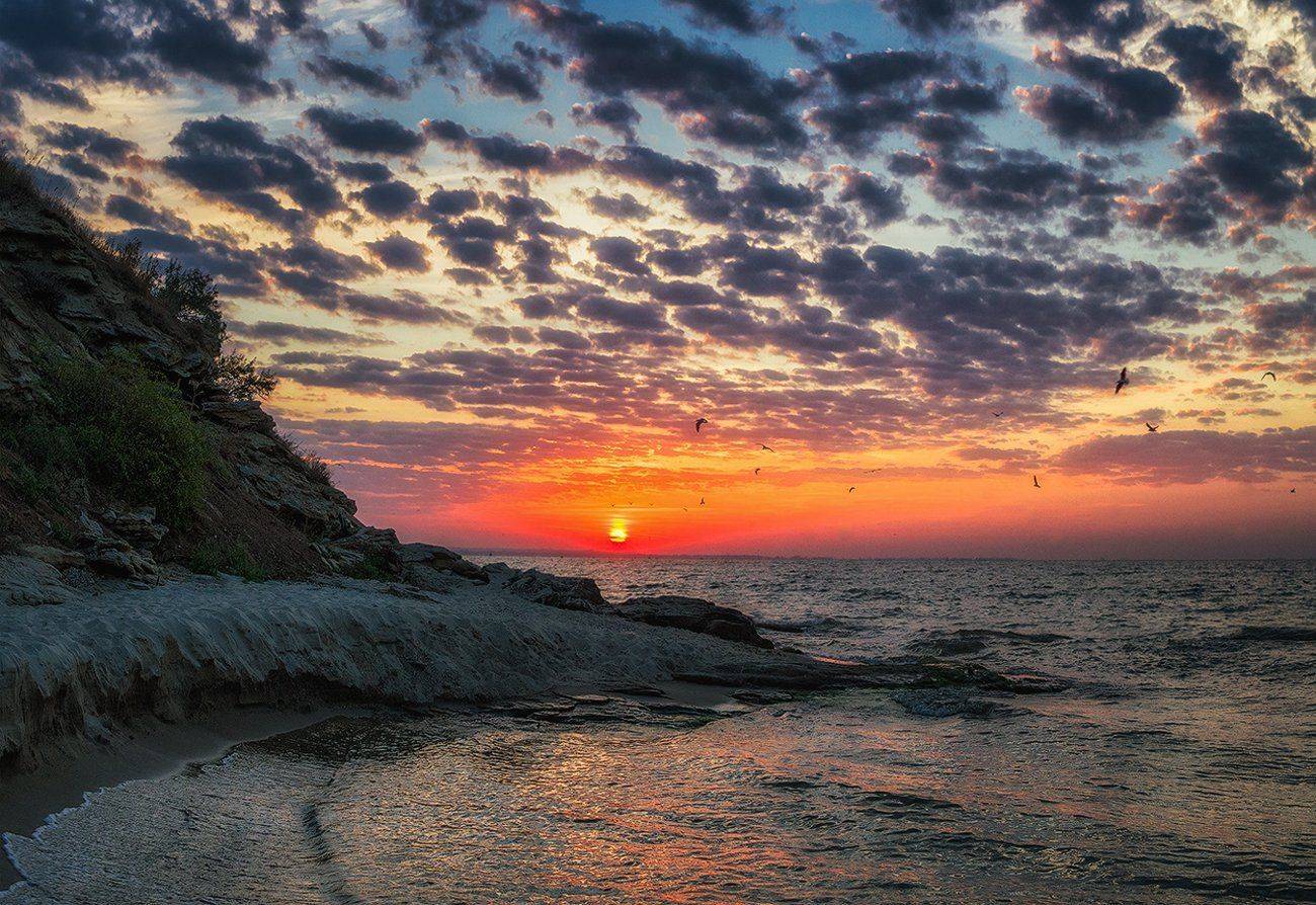 , Игорь Мелекесцев