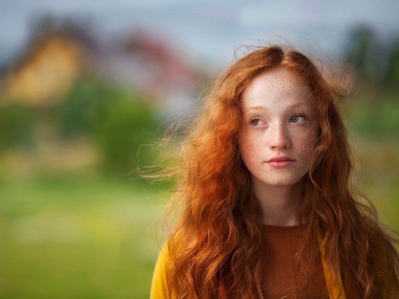 Clara of Green Gables фото превью