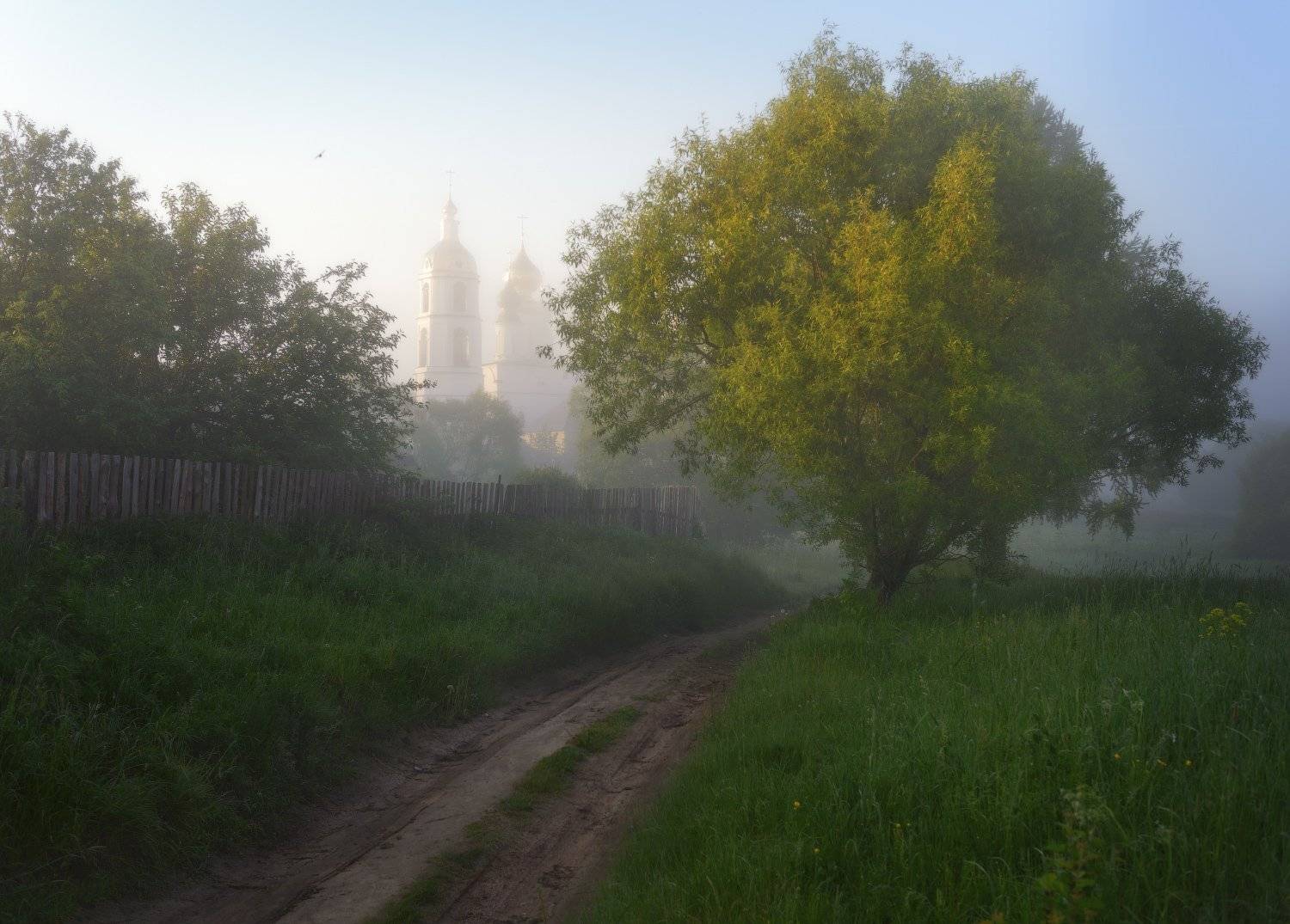 , Евгений Цап