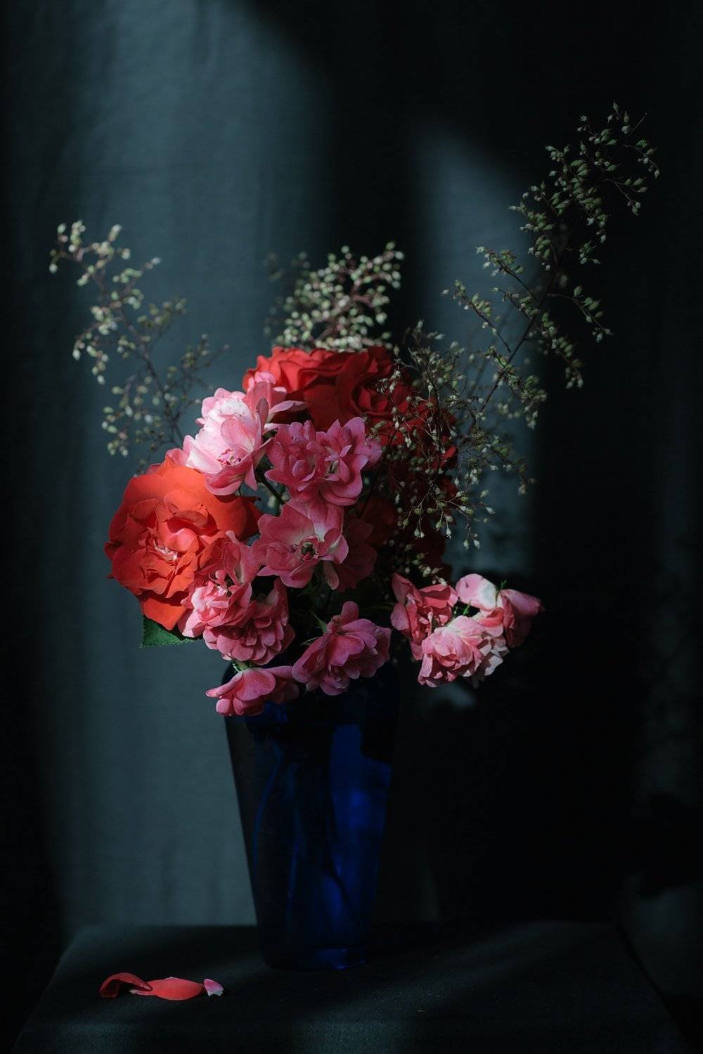 , Ксения Канке