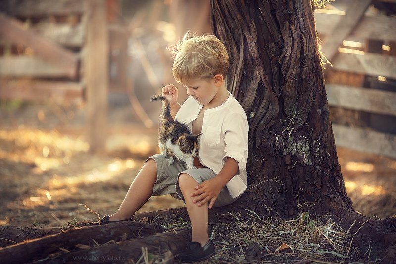 фото превью