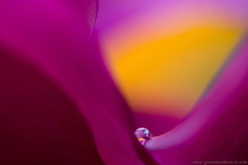 *** фото превью