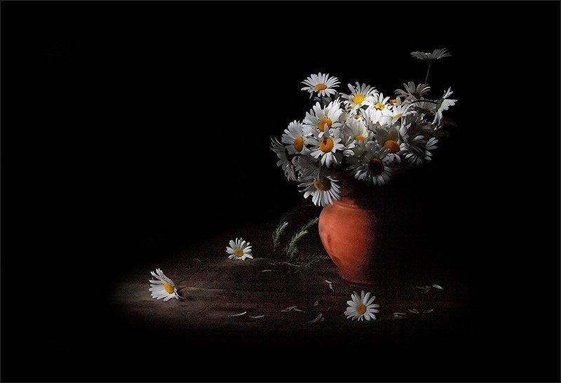 Ромашковая грусть фото превью