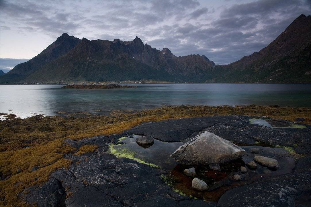 norway, lofoten, Алексей Самарин