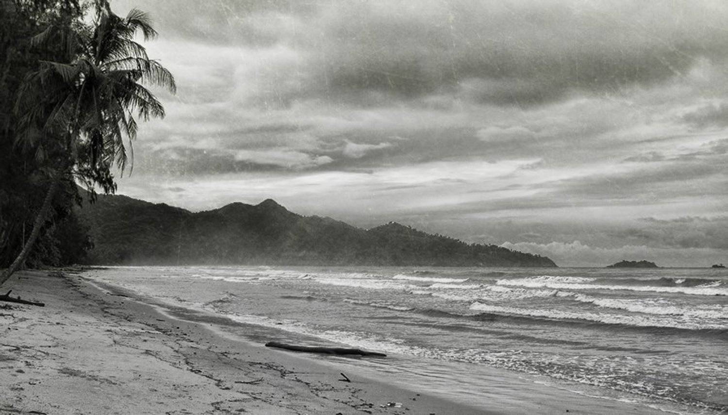 , Артем Кодолов