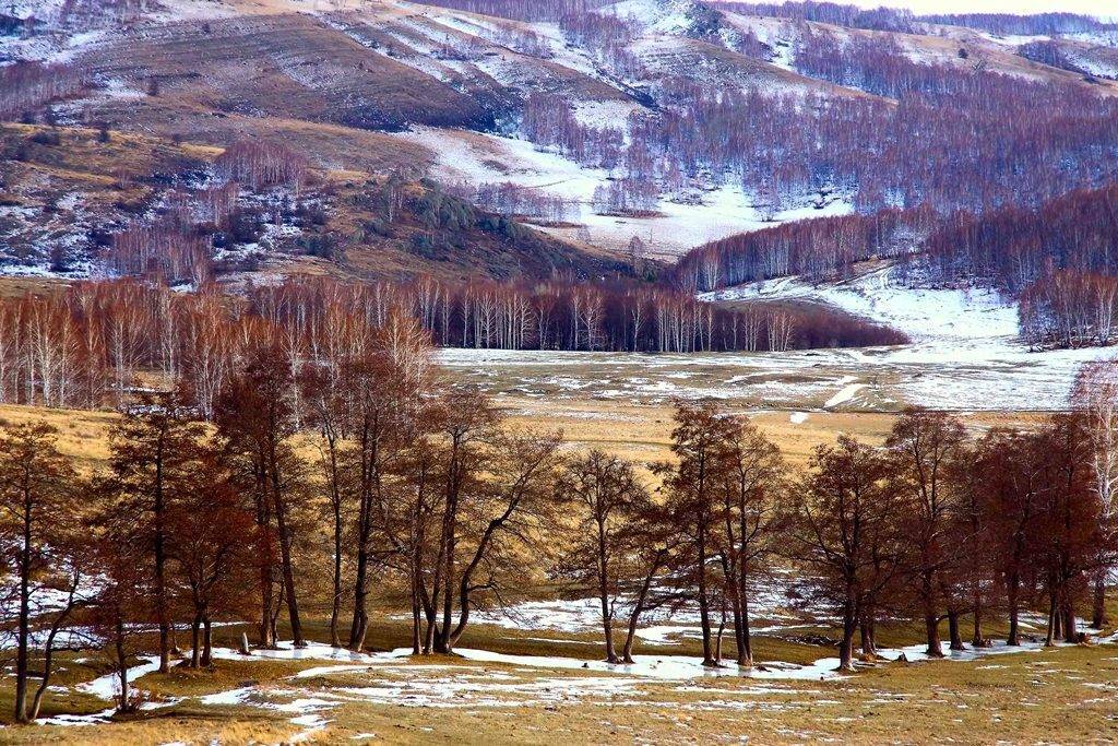 осень ,поздняя,ноябрь, Качурин Алексей
