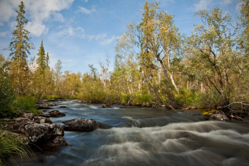 кольский, полуостров, locus