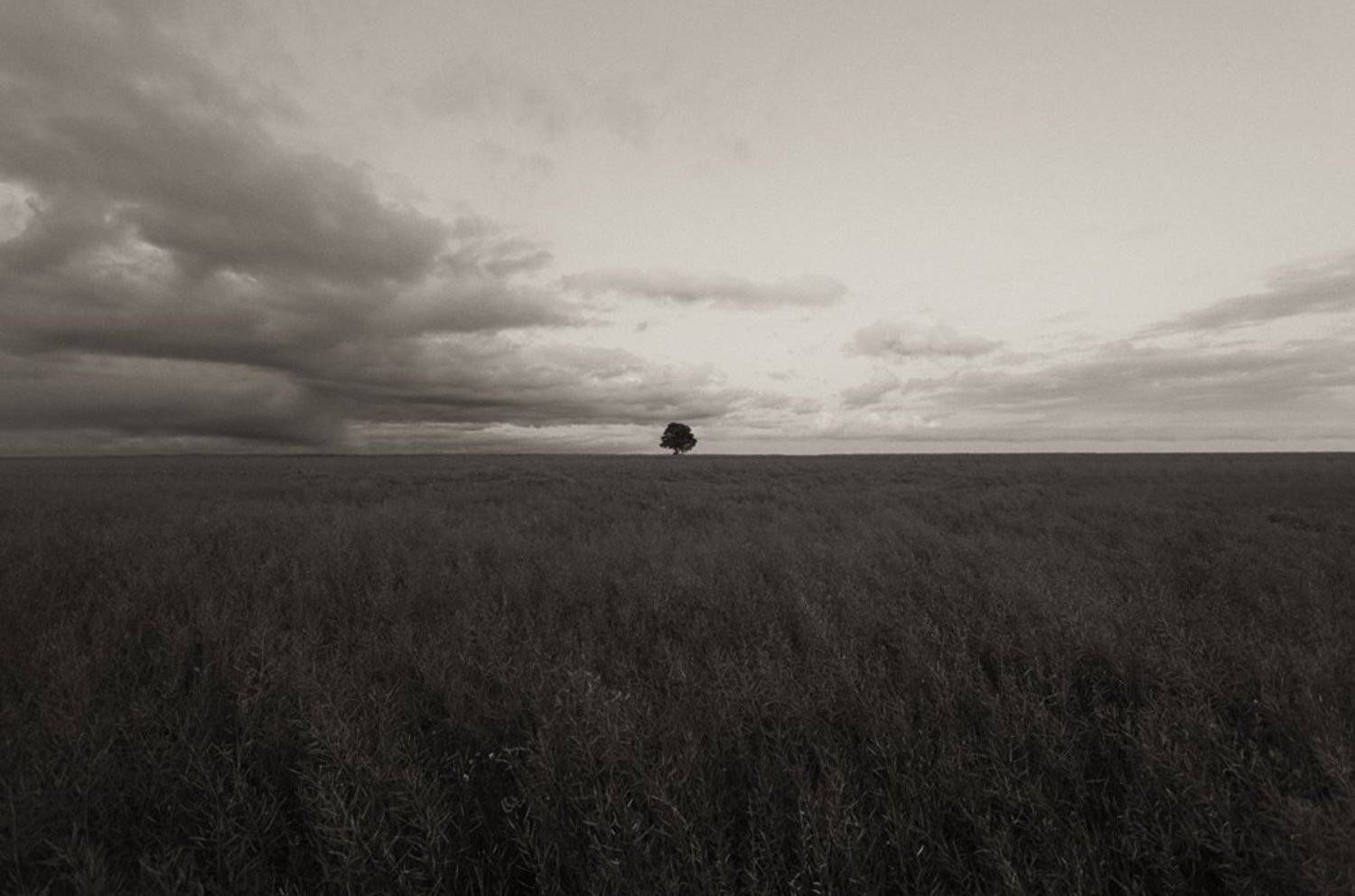 пейзаж, Airidas