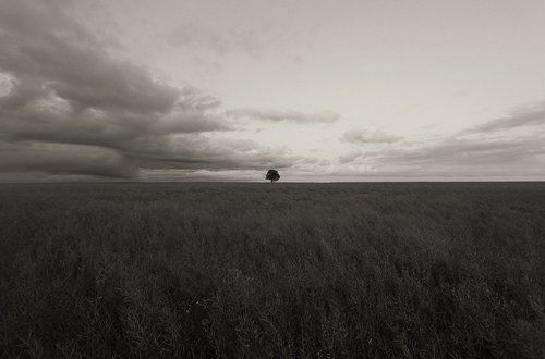 Гармония