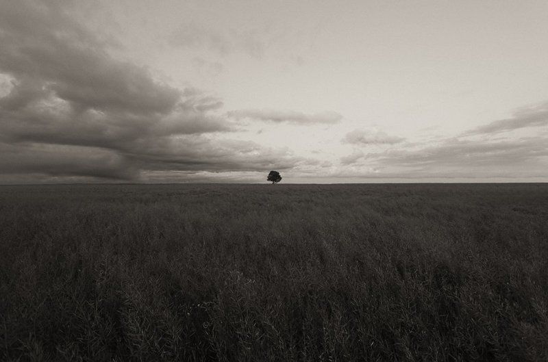 пейзаж Гармония фото превью