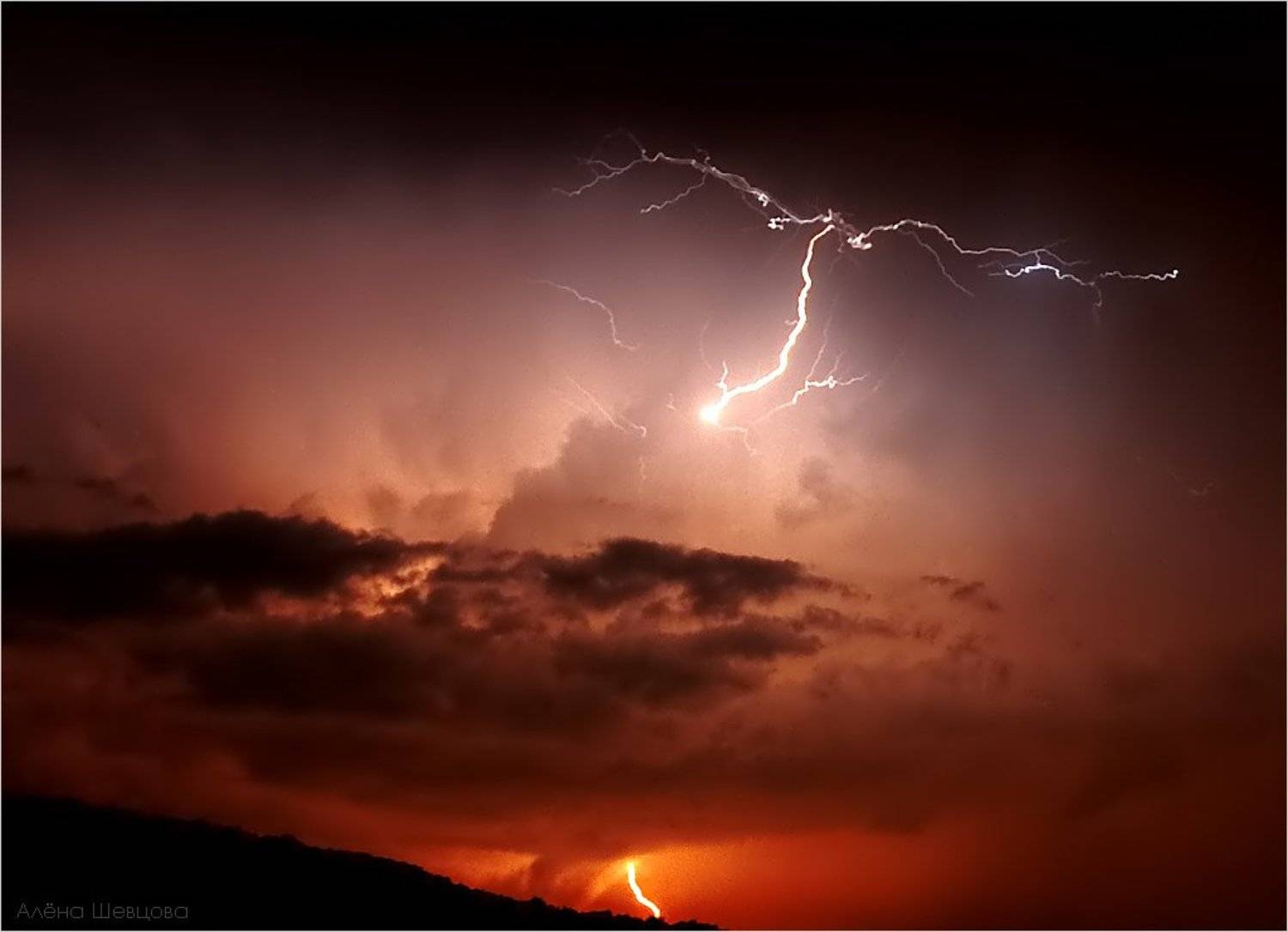 , Алёна Шевцова