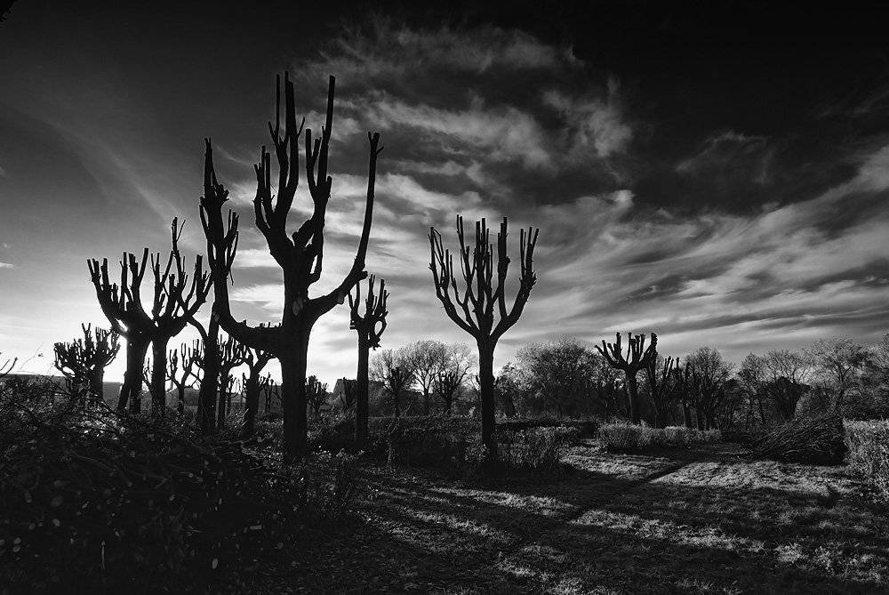 небо, Александр Титаренко