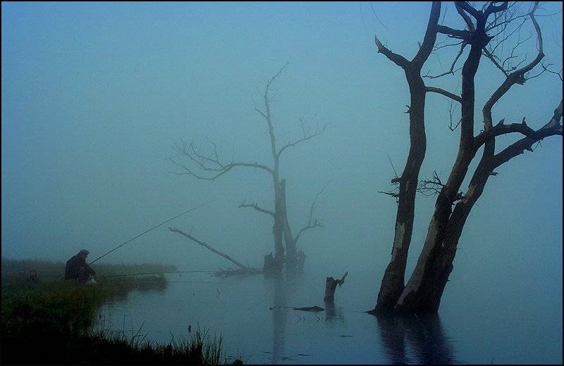 водоём, туман, утро, рыбак, Петриченко Валерий