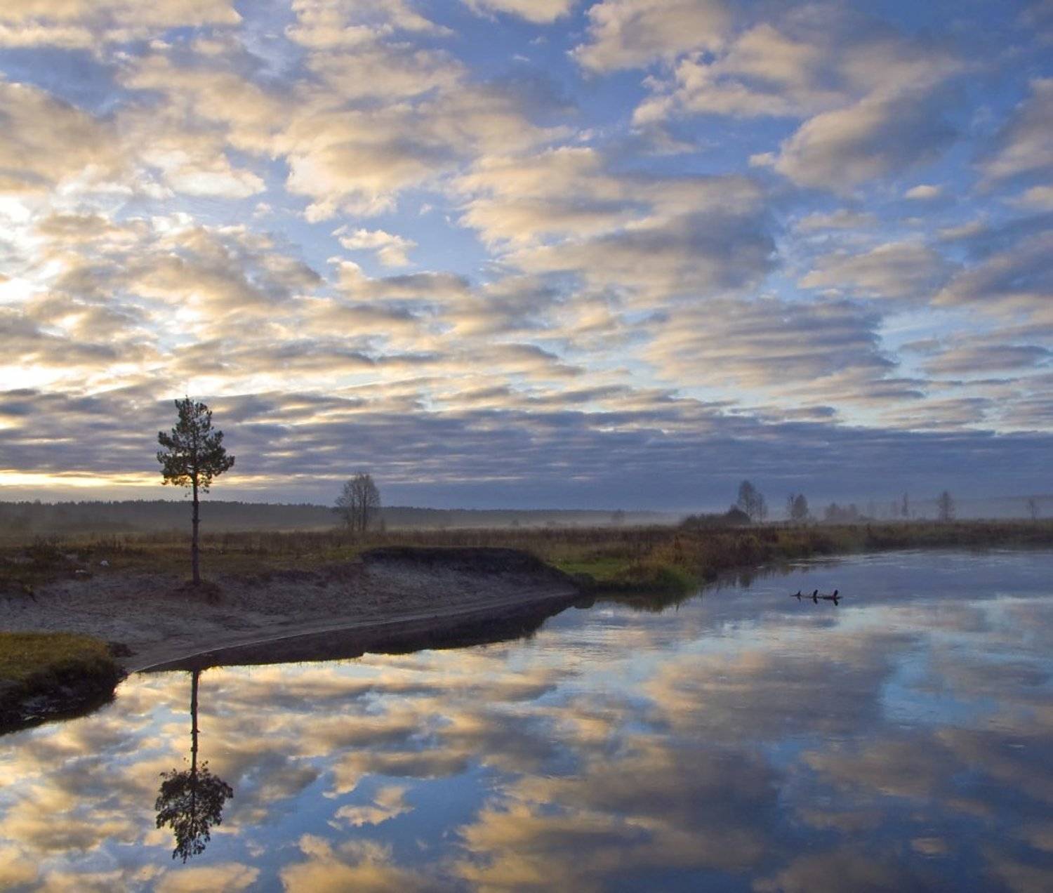 , Клюшкин Юрий