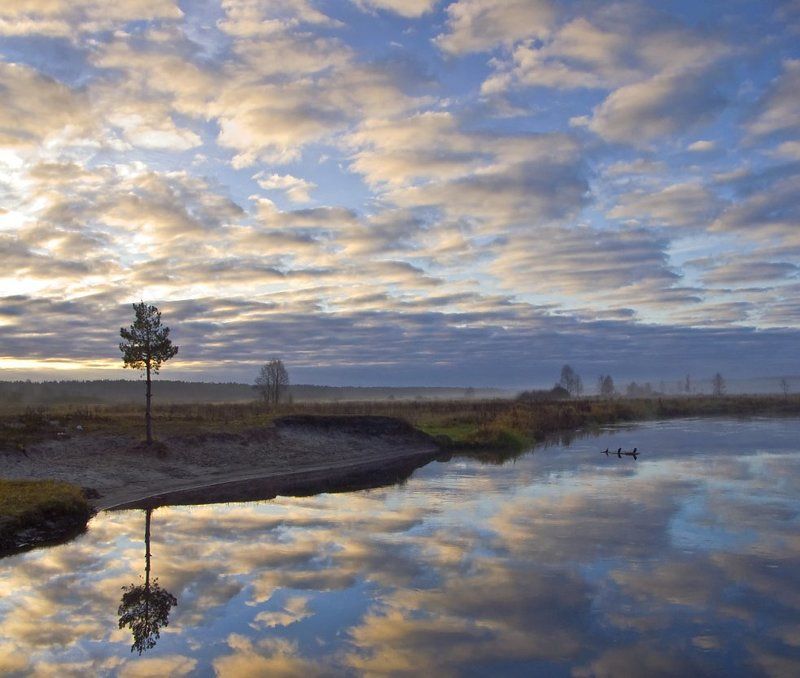 *** фото превью