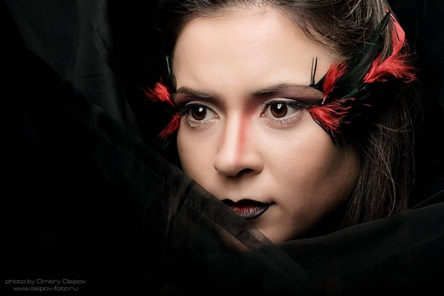 art photo, portrait, портрет, гламур, Дмитрий Осипов