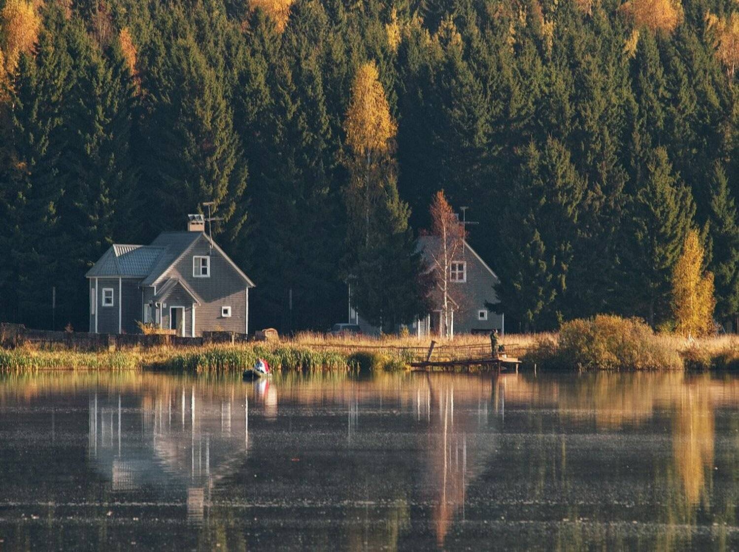 , Максим Евдокимов