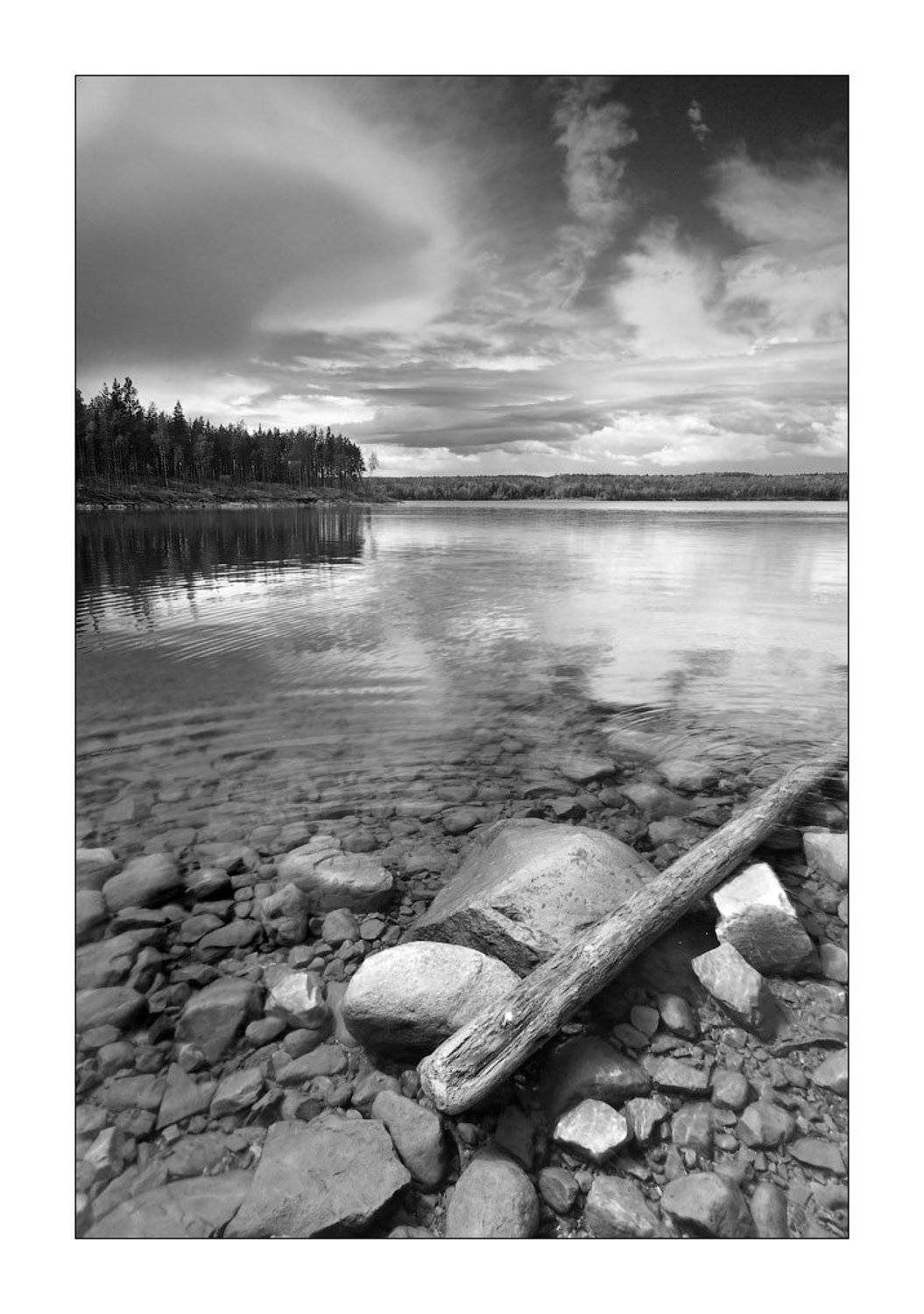 , Дмитрий Лялин