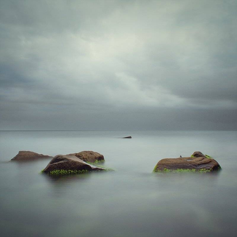 , Владимир Точаненко